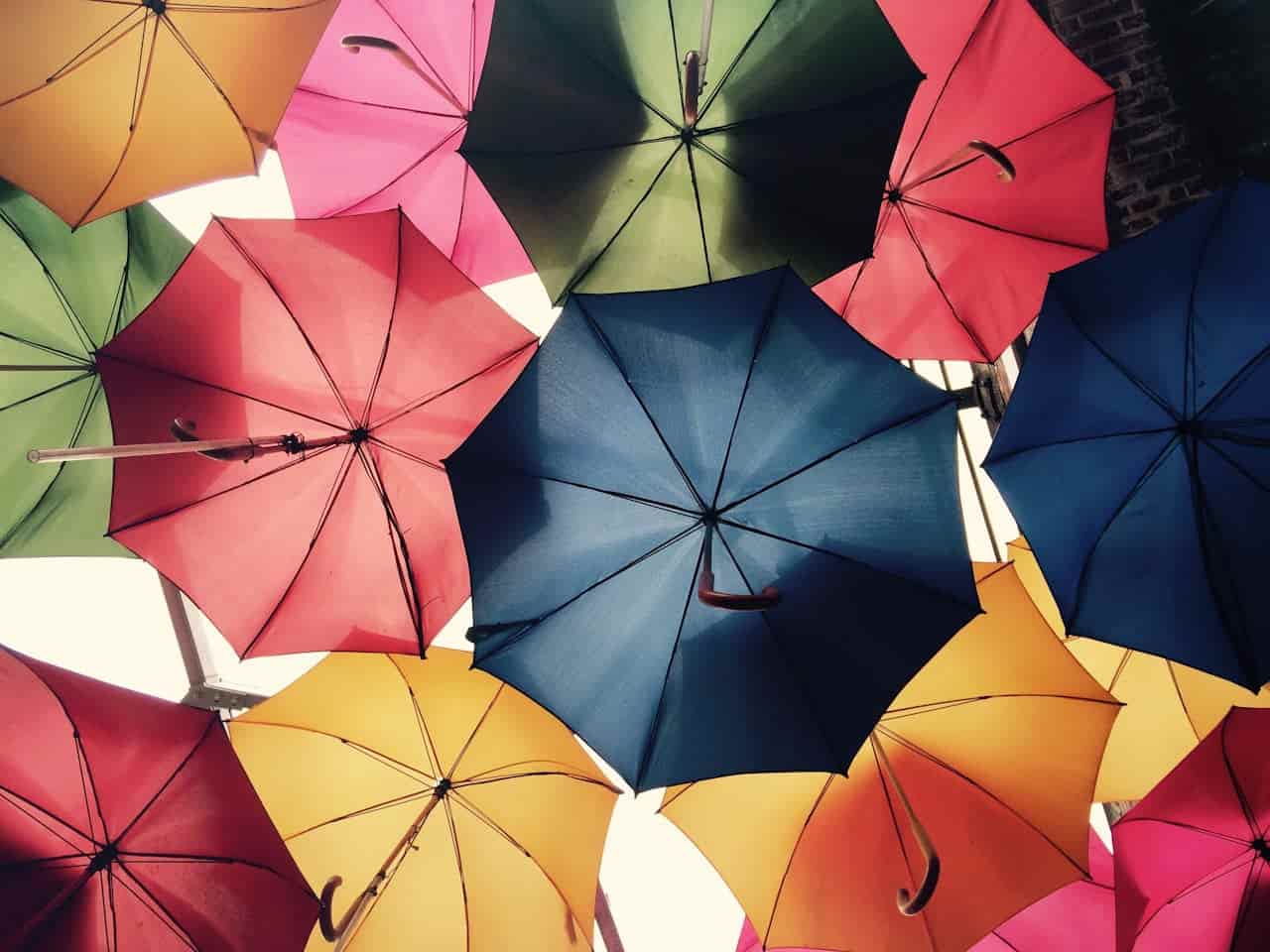 spotcovery-7-black-owned-life-insurance-companies-you-can-trust