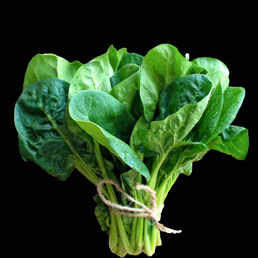 Gboma, also called Spinach