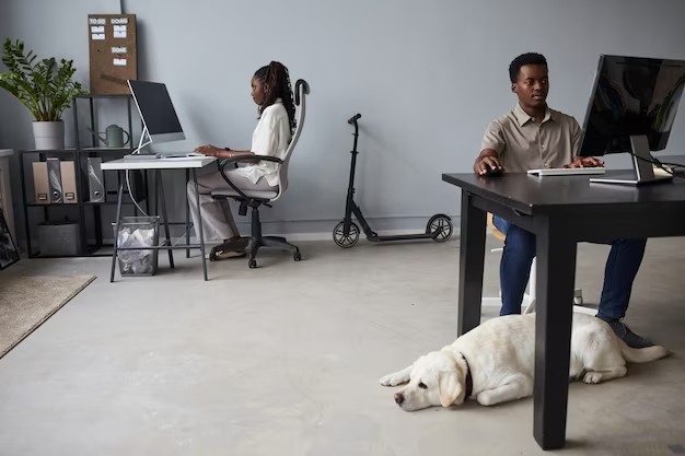 A black man working in the office with his dog under his desk.