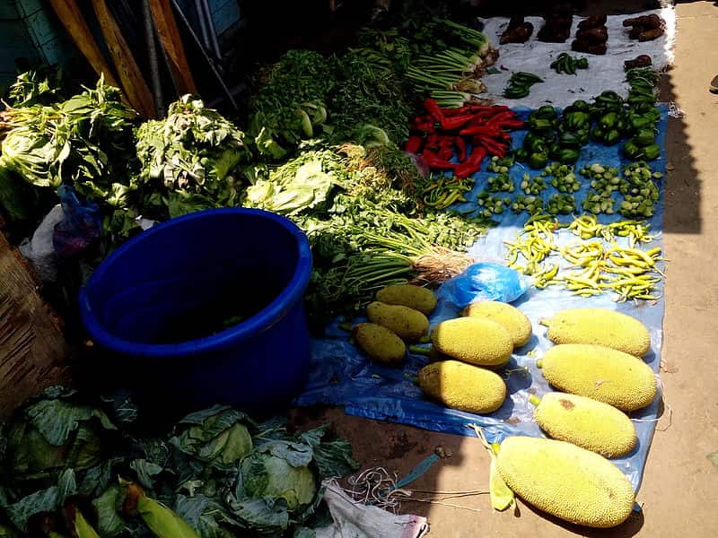 spotcovery_african_vegetables_with_medicinal_value-in-an-open_market_source_wikimedia