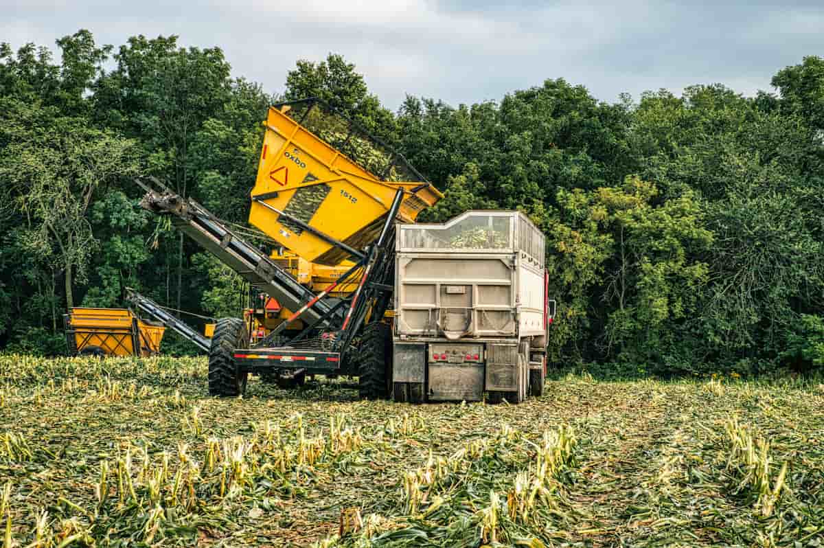 spotcovery-a-tractor-on-an-agricultural-field-sugarcane-farming-how-to-make-money-from-sugarcane-in-florida-as-a-black-entrepreneur