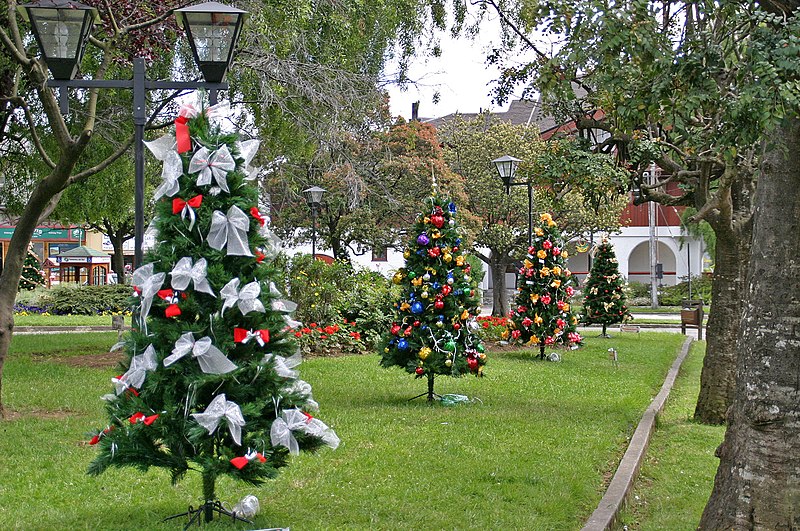 spotcovery-Trees-with-Christmas-decorations-outside-black-family-Christmas-traditions