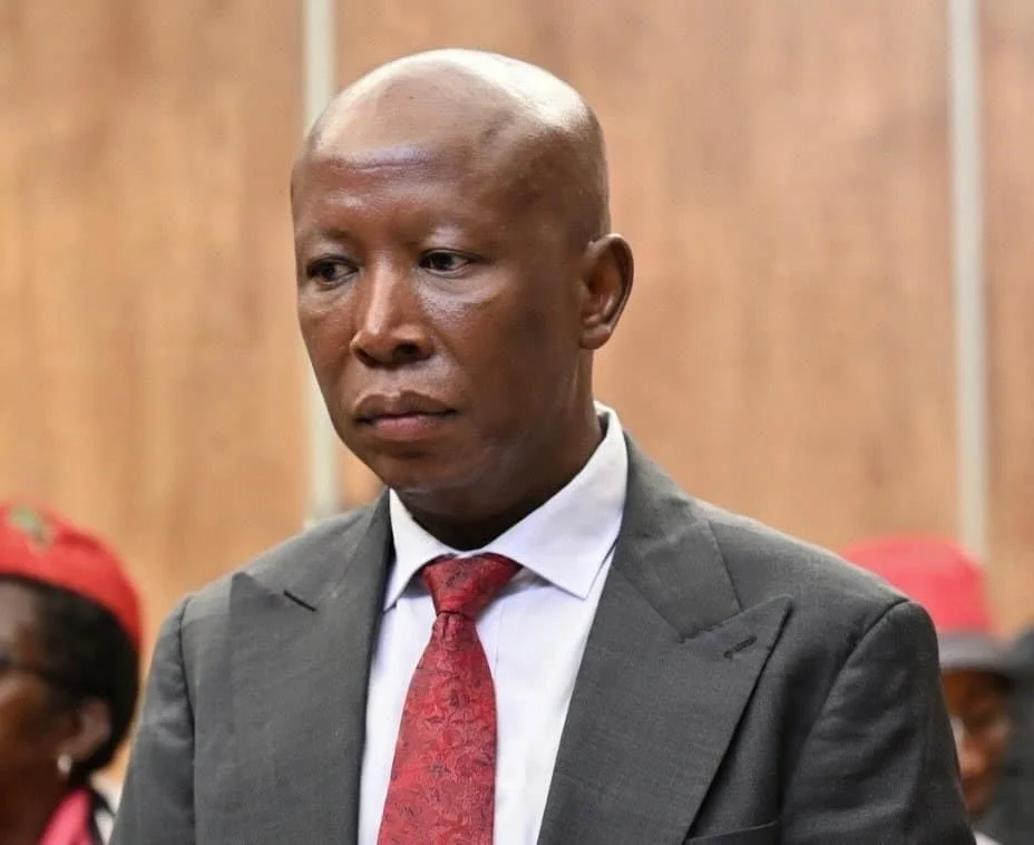 Julius Malema Sentenced to Five Years in Prison Spotcovery-Julius Malema Sentenced to Five Years in Prison
