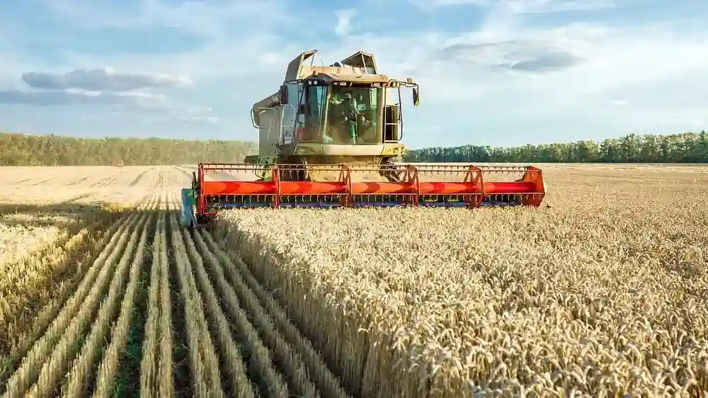 Nigeria Approves 57 New Crop Varieties to Boost Food Security and Agricultural Productivity Spotcovery-Nigeria Approves 57 New Crop Varieties to Boost Food Security and Agricultural Productivity